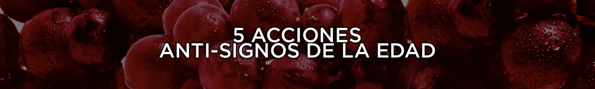 2000x300 Vitalift Franquicia
